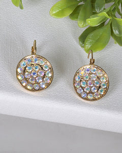 Crystal Studded Latch Back Earrings
