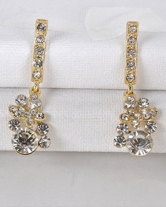 Crystal Studded Drop Earrings