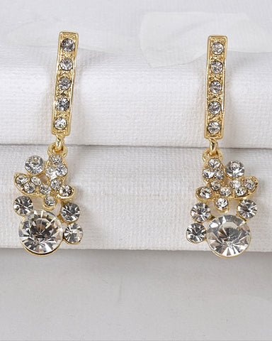 Crystal Studded Drop Earrings