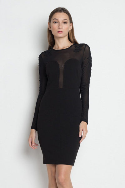 Long Sleeve Floral Mesh Dress