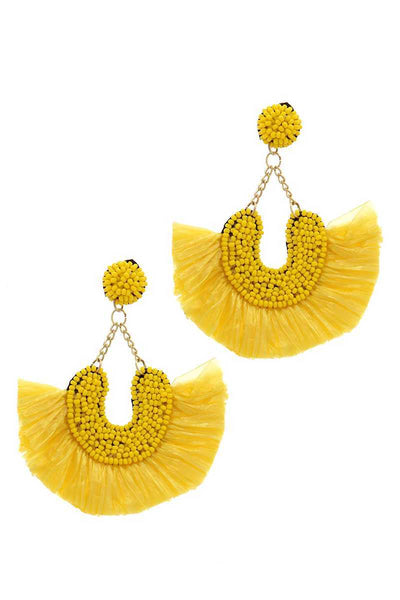 Beaded Fan Tassel Dangle Drop Earring