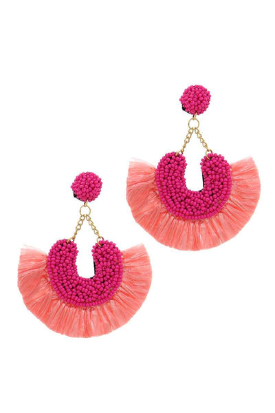Beaded Fan Tassel Dangle Drop Earring