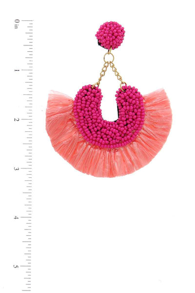 Beaded Fan Tassel Dangle Drop Earring