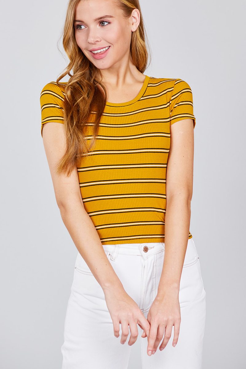 Short Sleeve Round Neck Multi Stripe Rib Knit Top
