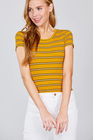 Short Sleeve Round Neck Multi Stripe Rib Knit Top