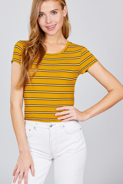 Short Sleeve Round Neck Multi Stripe Rib Knit Top