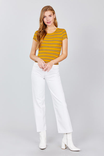 Short Sleeve Round Neck Multi Stripe Rib Knit Top