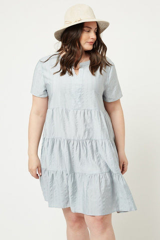 Metallic Stripe Swing Dress